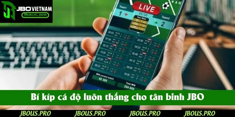 Bí kíp cá độ luôn thắng cho tân binh JBO