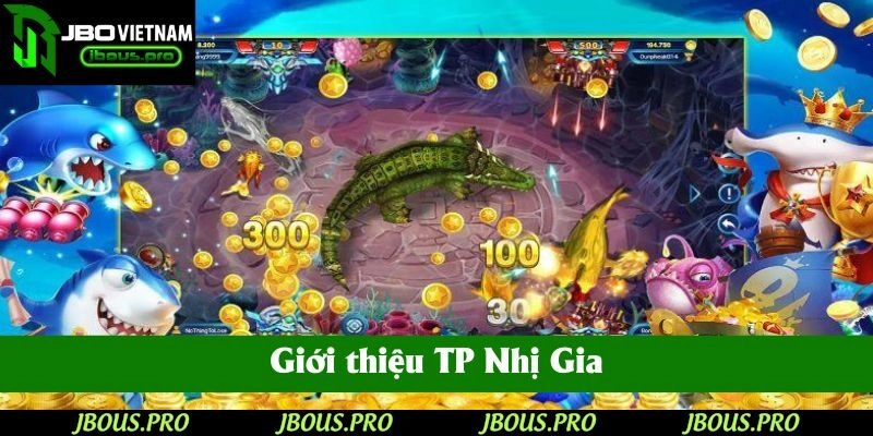 Giới thiệu TP Nhị Gia
